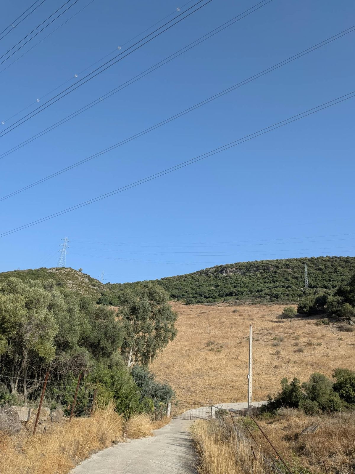 Plot in Casares in Casares - foto 8