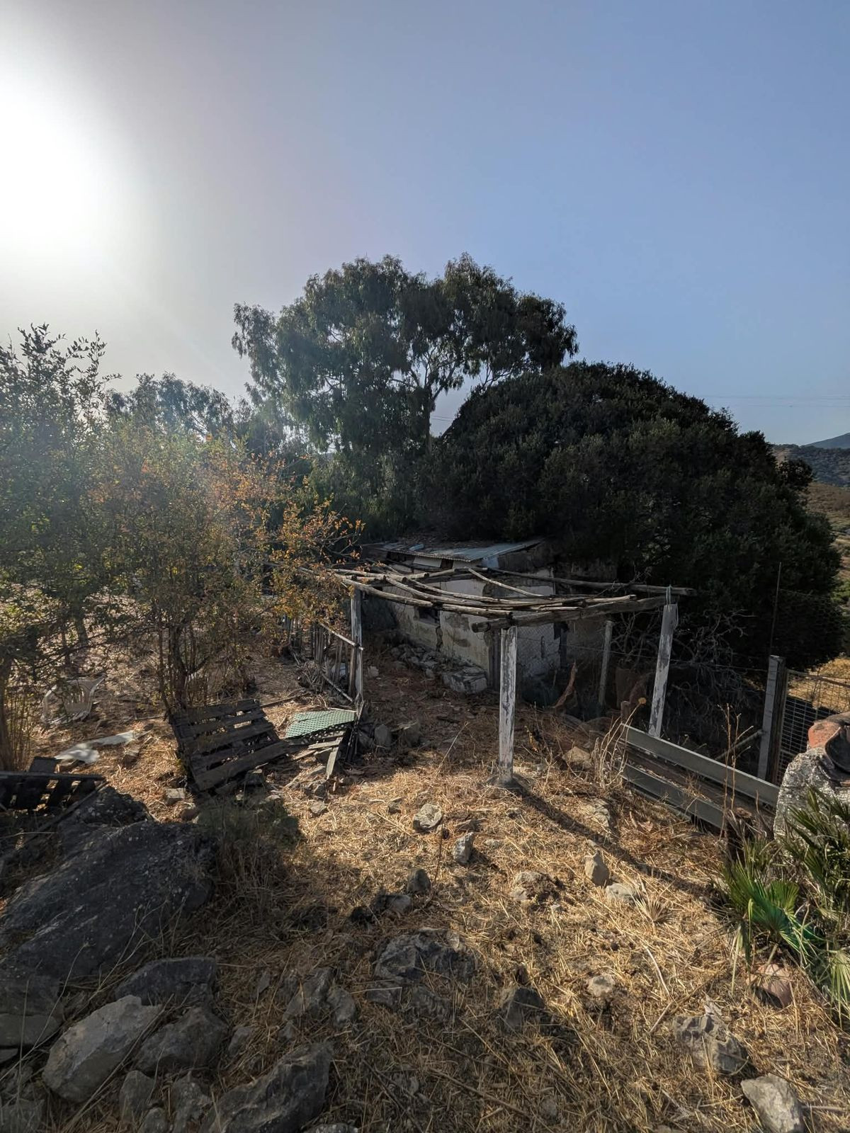 Plot in Casares in Casares - foto 9