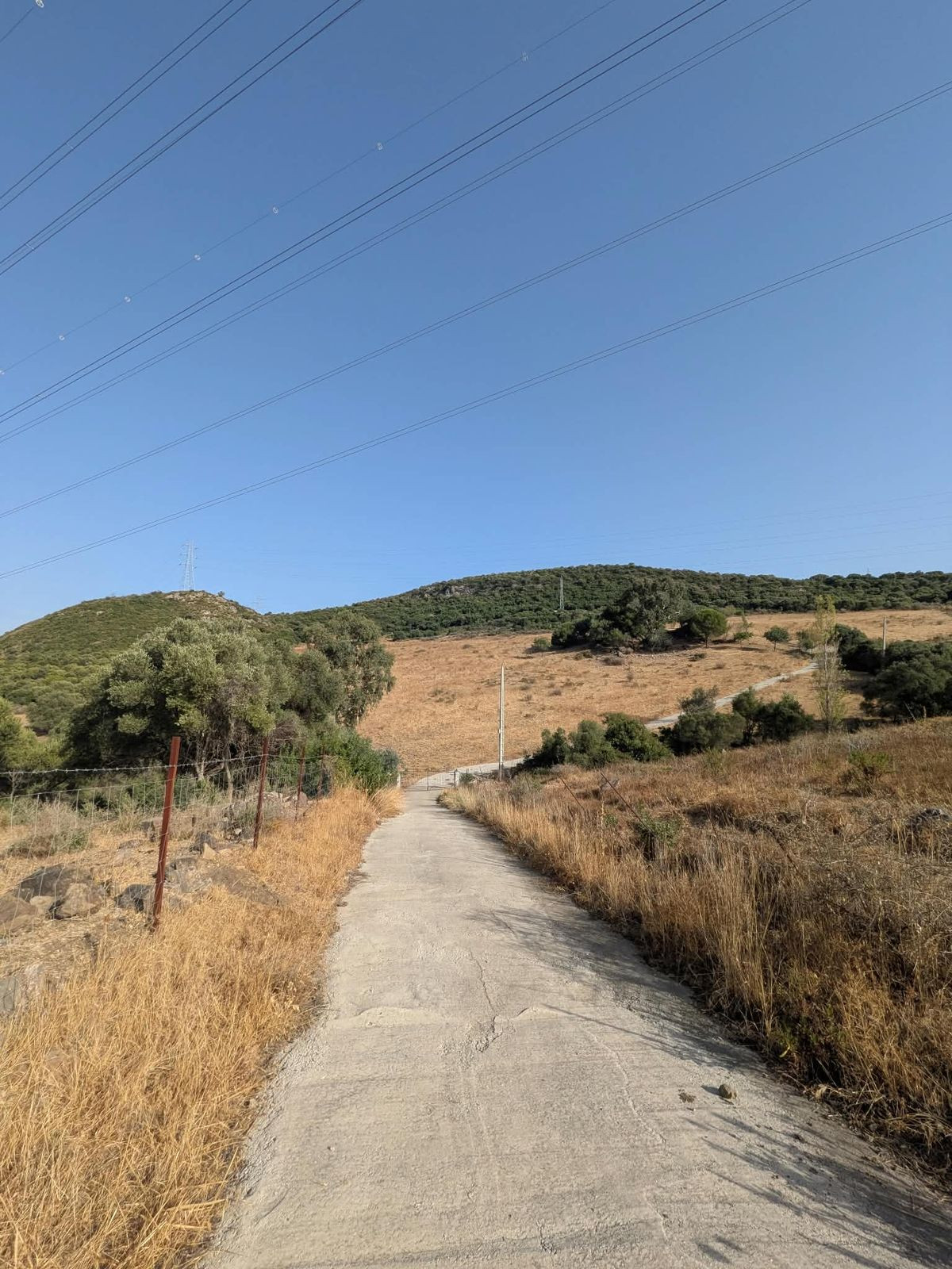 Plot in Casares in Casares - foto 10